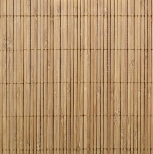 beloning speling oneerlijk Bamboe afsluiting : Soorten bamboe - plaatsing en prijs advies